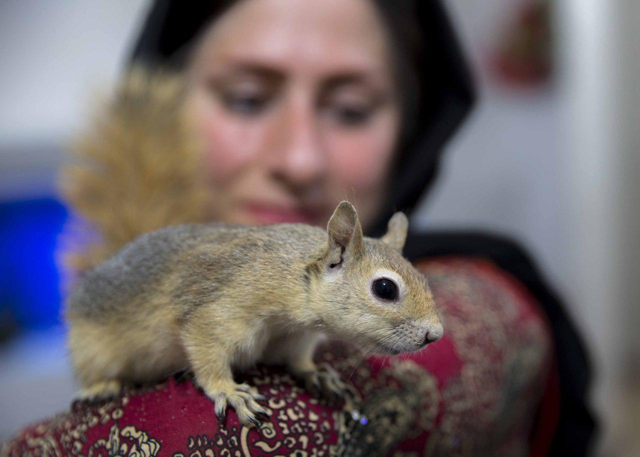 سنجابی کوچک زندگی در یک «کارواش» را بهم ریخت