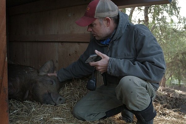 نامزدهای جوایز مستند انتخاب منتقدان مشخص شدند
