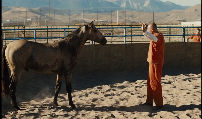 رام‌نشدنی‌ها مقصرند يا قربانی؟