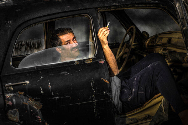 دوزیست ها در جشنواره فجر دوزیست ها در جشنواره فجر