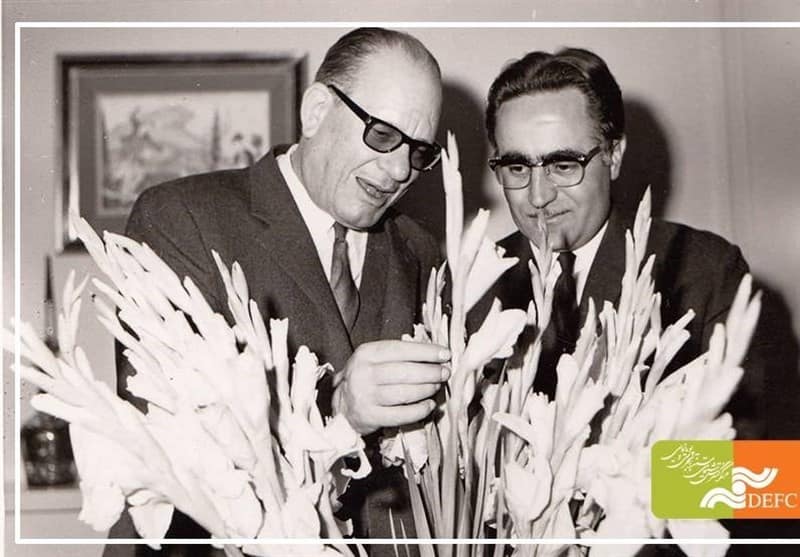 سرقت هنری در زادگاه 