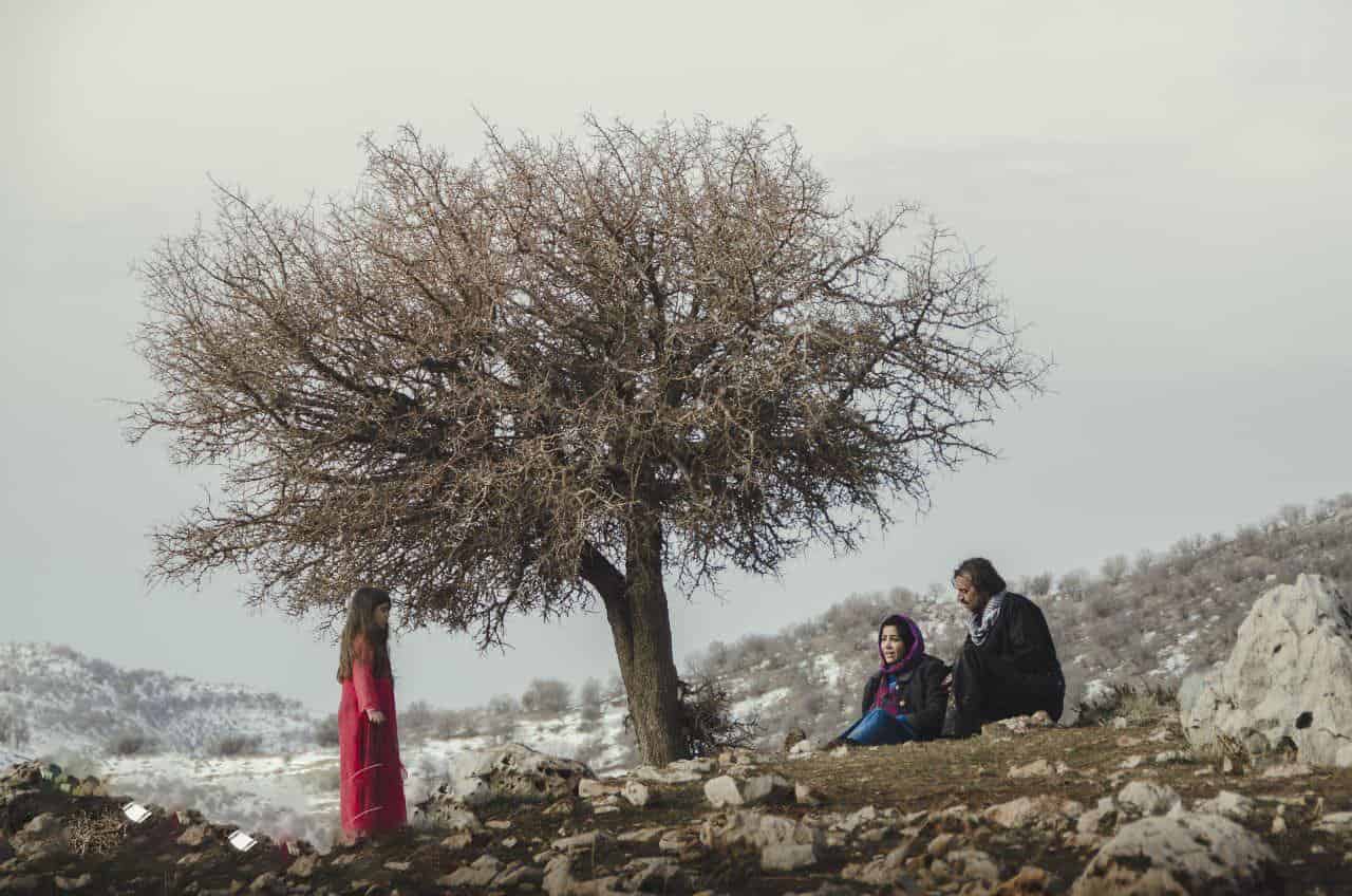«حمیدرضا ارجمندی» بهترین فیلم‌ساز نوظهور جشنواره آمریکایی شد