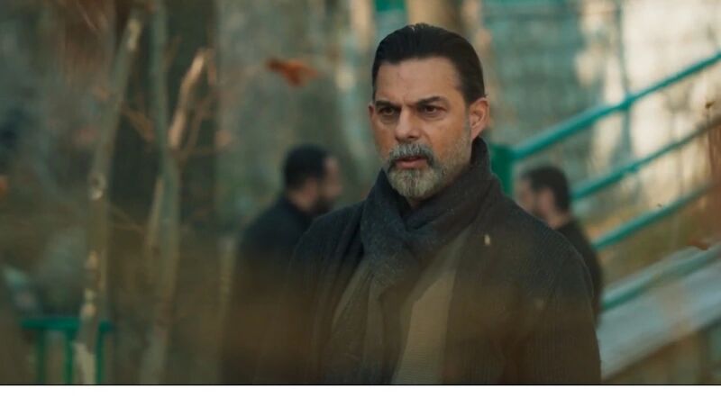 پیمان معادی از تجربه همکاری با مریلا زارعی می‌گوید