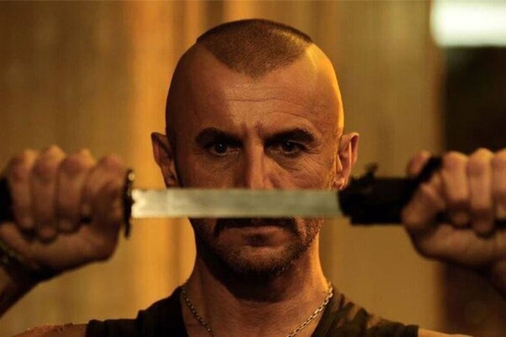 ۱۴ اثر متوفف شده در سال‌های اخیر