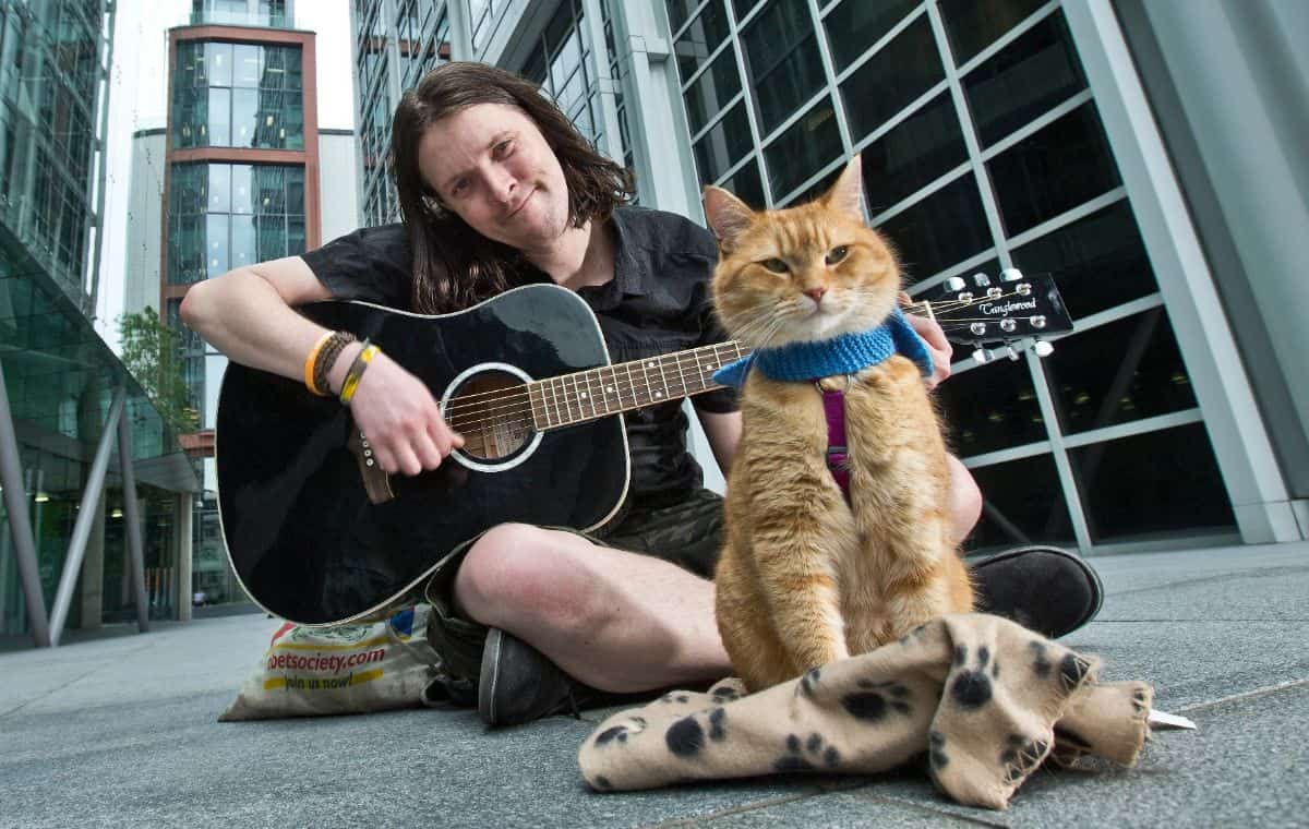 بهترین فیلم‌ها درباره گربه‌ها؛ از «گارفیلد» تا «گربه چکمه‌پوش»