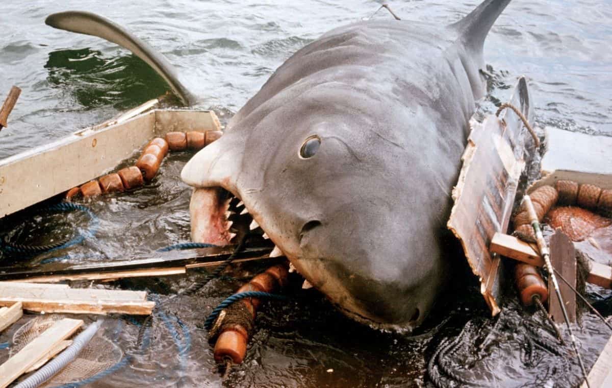 ۱۰ فیلم تاثیرگذار که باعث تغییر دنیای واقعی شدند