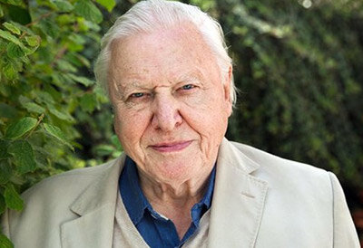 راوی قابل اعتماد حقیقت، دیوید اتنبرو