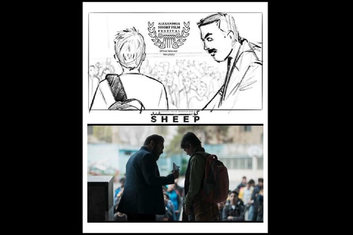 فیلم کوتاه «حیوان دو پا؛ گوسفند» به مصر رفت فیلم کوتاه «حیوان دو پا؛ گوسفند» به مصر رفت