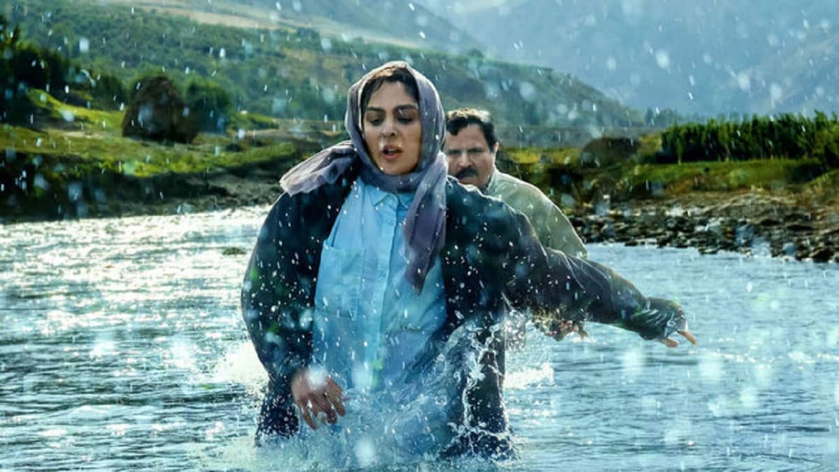 اکران آنلاین «در آغوش درخت» در فیلم‌نت