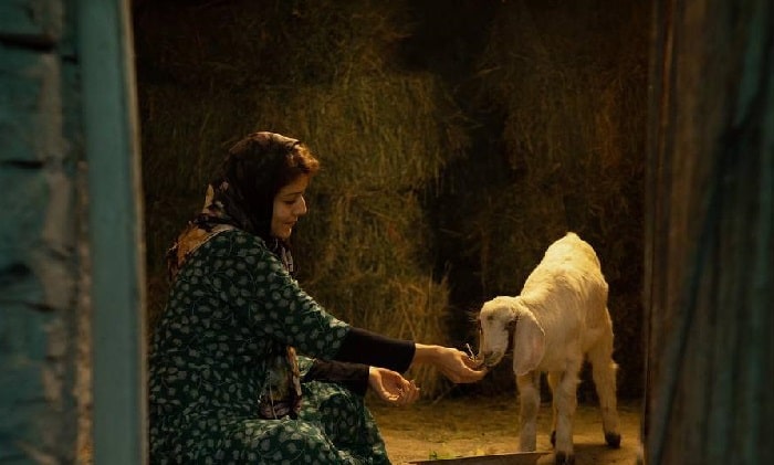 فیلم کوتاه «حنا» آماده پخش بین‌المللی شد