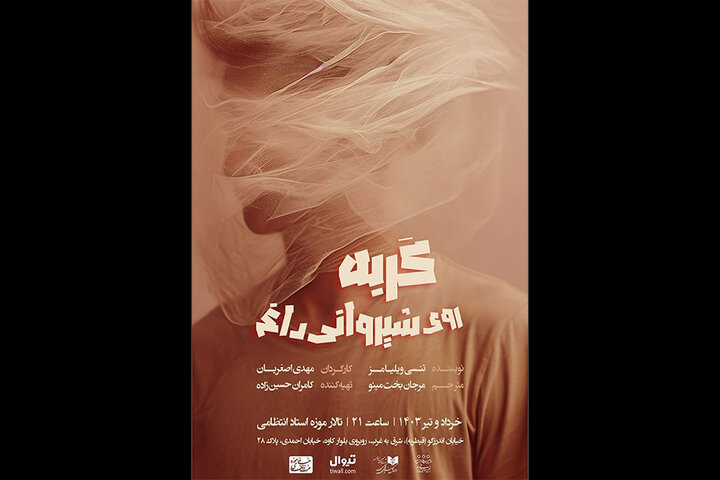 «گربه روی شیروانی داغ» در خانه موزه انتظامی