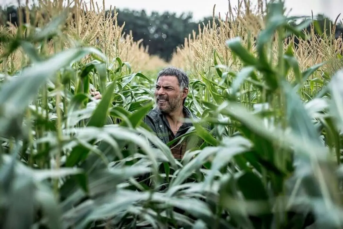 نقد- فیلم «بیسر و صدا»: ایدهای جسورانه که در اجرا گم شد نقد- فیلم «بیسر و صدا»: ایدهای جسورانه که در اجرا گم شد