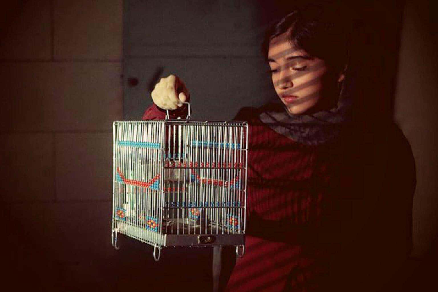 «آیما» با مشاوره بهمن ارک ساخته شد