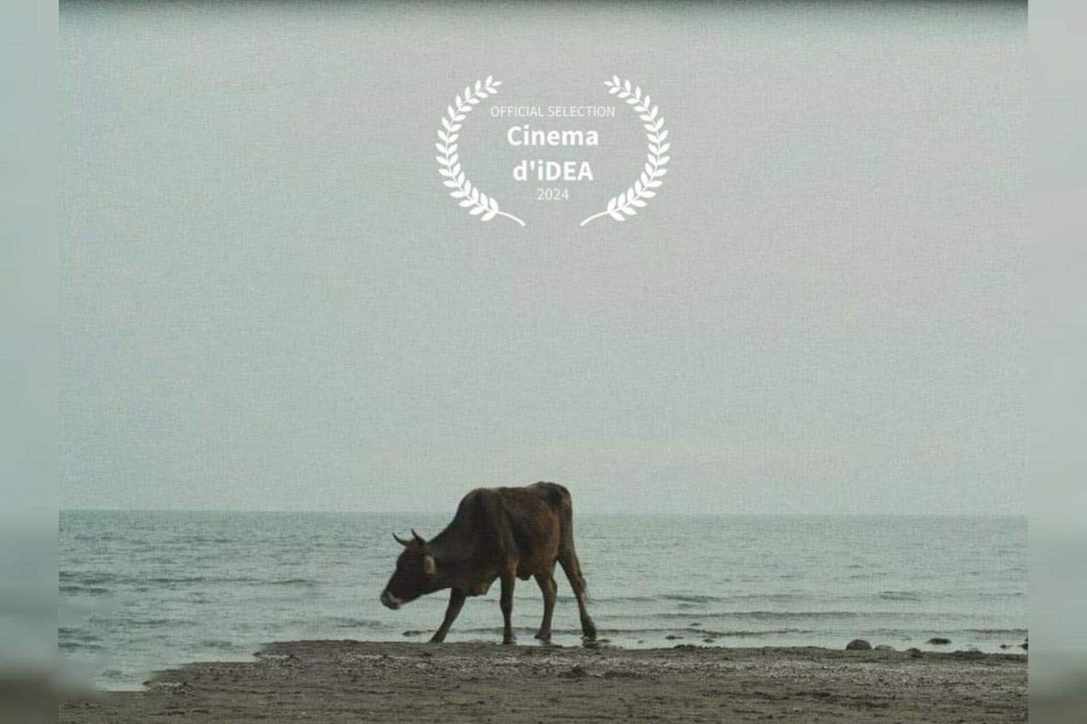 «گاوماهی» به جشنواره ایتالیایی می‌رود