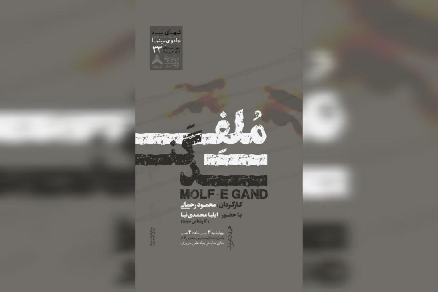 بلندترین پلان سکانس سینمای مستند ایران بررسی می‌شود/ اکران «ملف گند»