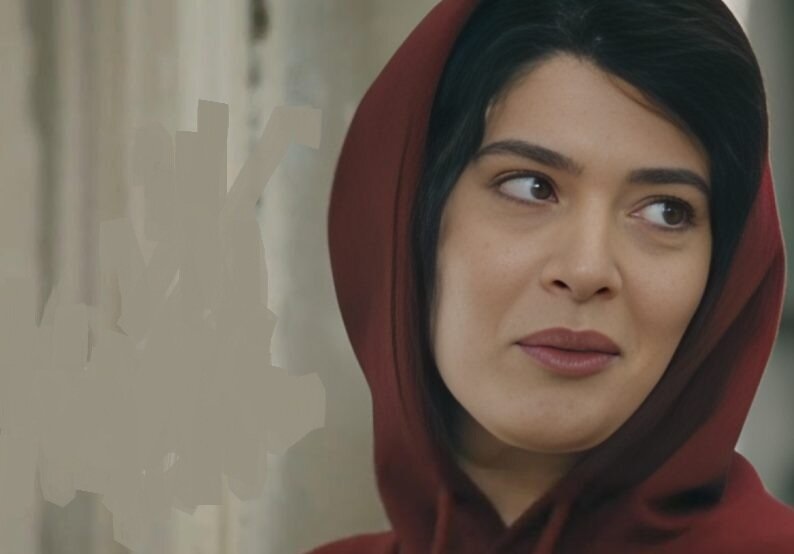 همراهان هادی حجازی‌فر در سریال «داریوش» 