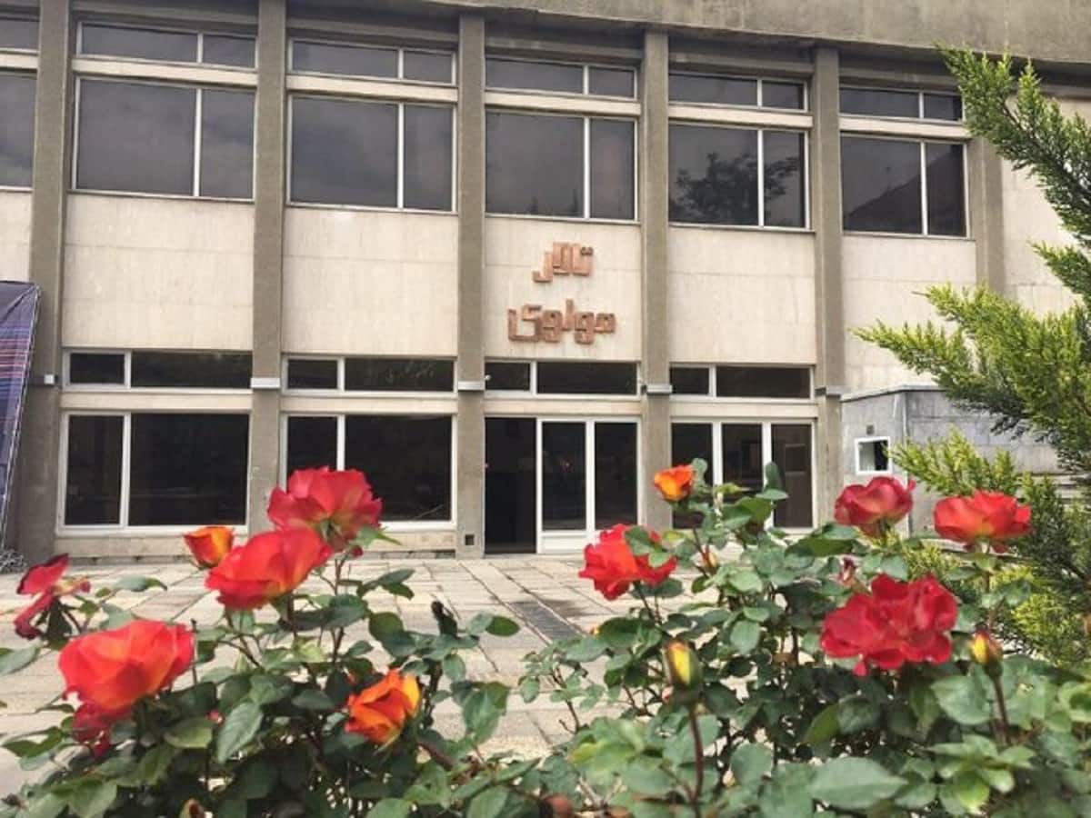 سه نمایش جدید در راه مرکز تئاتر مولوی: «یک خراش کوچک»، «باغ وحش کاغذی» و «بازیگر سایه‌ها»