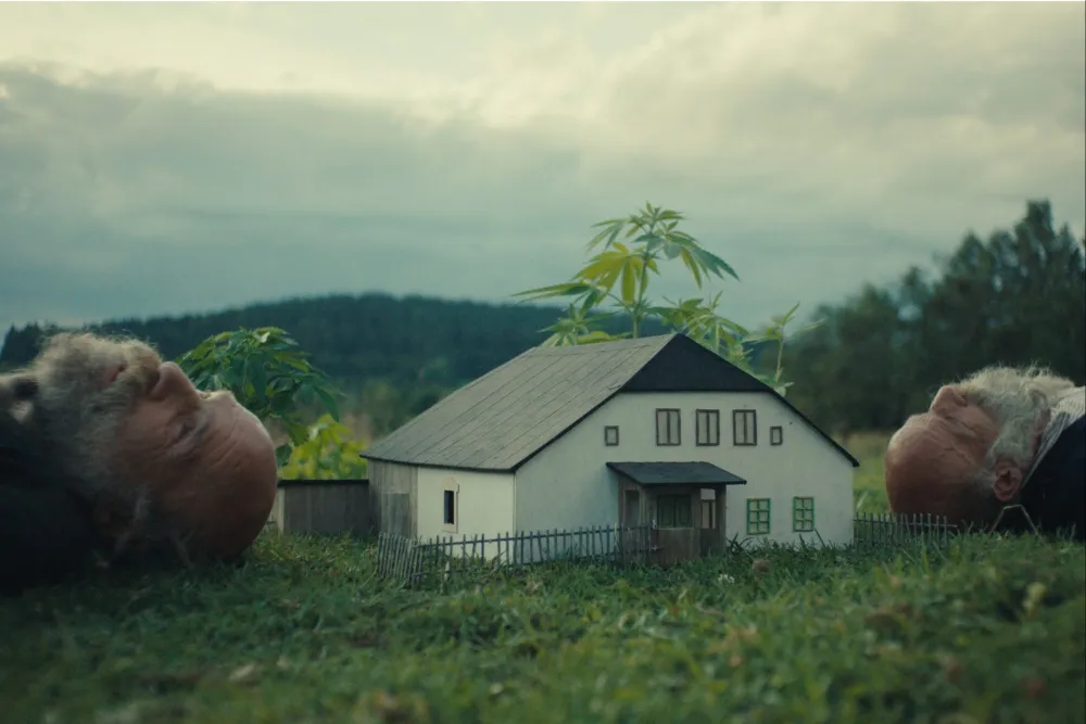 نقد فیلم «Better Go Mad in the Wild»؛ مستندی شاعرانه و جذاب از زندگی دو برادر دوقلو در دل طبیعت بکر چک نقد فیلم «Better Go Mad in the Wild»؛ مستندی شاعرانه و جذاب از زندگی دو برادر دوقلو در دل طبیعت بکر چک