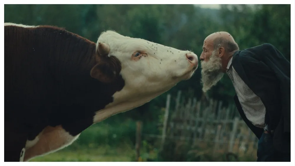 نقد فیلم «Better Go Mad in the Wild» | در ستایش دیوانگی و دوری از شهر: سفری به جهان فراموششدهی دو برادر در طبیعت نقد فیلم «Better Go Mad in the Wild» | در ستایش دیوانگی و دوری از شهر: سفری به جهان فراموششدهی دو برادر در طبیعت