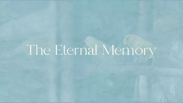 معرفی مستند The Eternal Memory | سایه ابدی نسیان