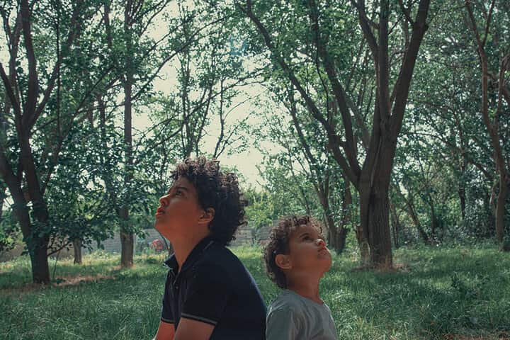 «در آغوش درخت» صاحب تیزر شد