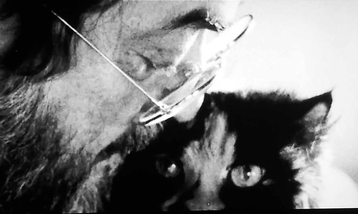 گربه‌ای که الهام‌بخش «درخشش» شد؛ استنلی کوبریک و وسواس همیشگی‌اش با پدیده‌های ماورایی