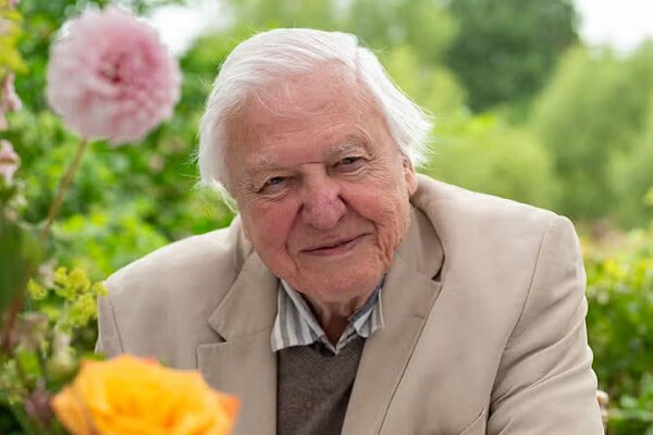 مستندساز مشهور مدال گرفت/ تجلیل دیوید اتنبرو برای حمایت از طبیعت