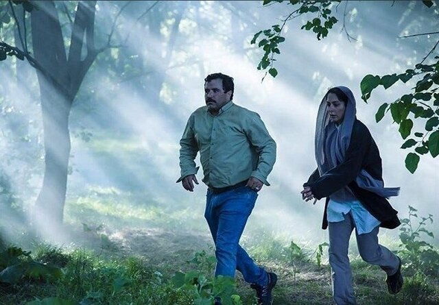 چرا اسکار اعتنایی به فیلم «در آغوش درخت» نکرد؟  