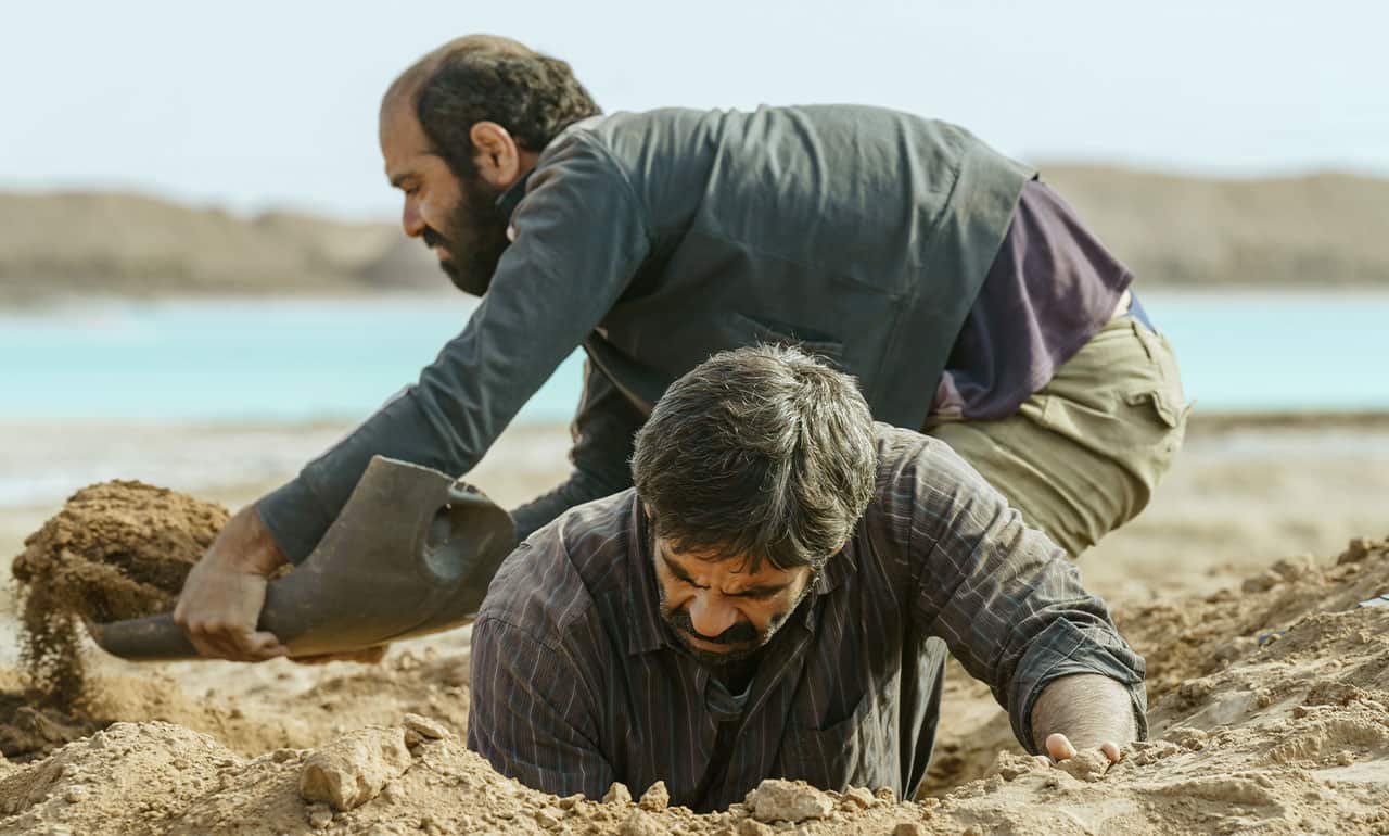 نقد فیلم «علت مرگ نامعلوم»؛ نمایشی از بحران و بقا