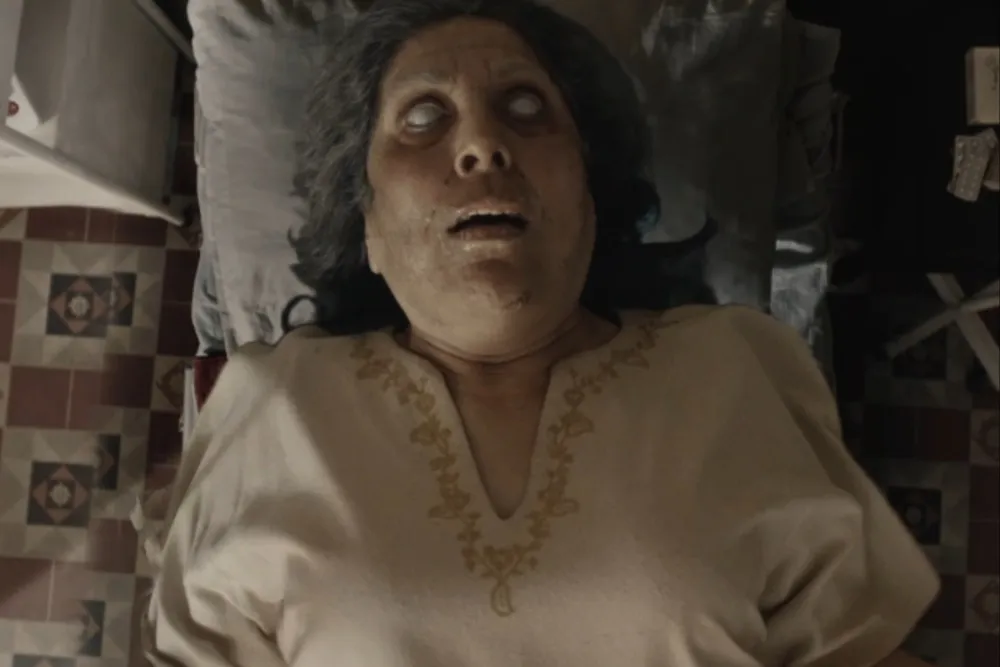 فیلم ترسناک پاکستانی «دیمک» پس از رکوردشکنی داخلی، راهی بازار جهانی می‌شود