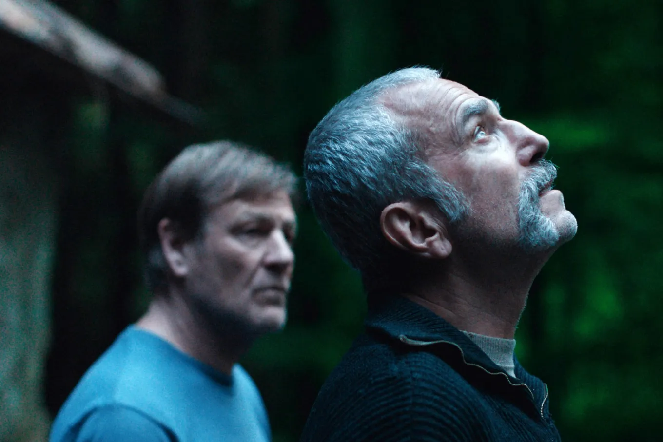  توضیح مدیر جشنواره فیلم نیویورک درباره برنامه ۲۰۲۵، بازگشت دنیل دی لوئیس و اکران نشدن «یک نبرد پس از دیگری»