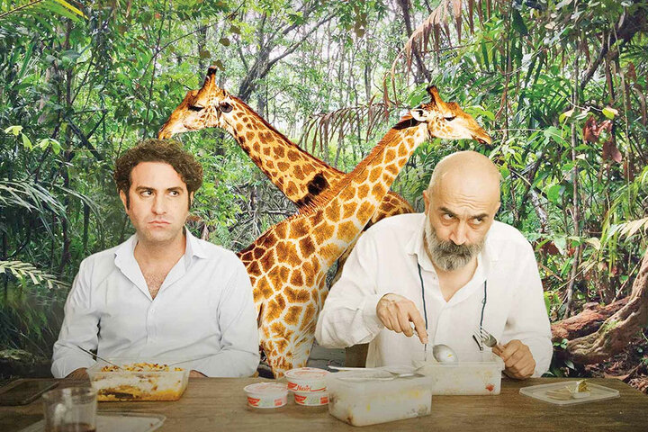 فیلم دیدن به صرف «صبحانه با زرافهها»/کدام فیلمها صدرنشین هستند؟ فیلم دیدن به صرف «صبحانه با زرافهها»/کدام فیلمها صدرنشین هستند؟