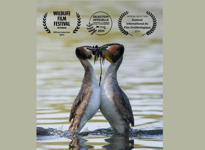 نمایش فیلم مستند «کشیم عاشق» در جشنواره روتردام