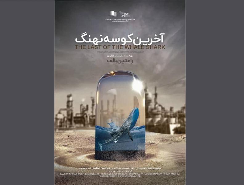 «آخرین کوسه نهنگ» به کانادا رسید «آخرین کوسه نهنگ» به کانادا رسید