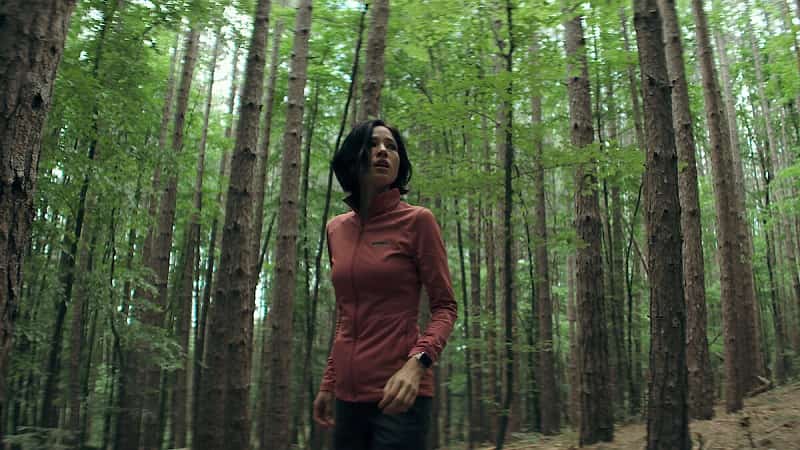 نقد فیلم Don’t Move / تکون نخور!