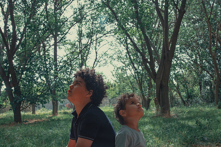 «در آغوش درخت»؛ تعادل میان غم و امید «در آغوش درخت»؛ تعادل میان غم و امید