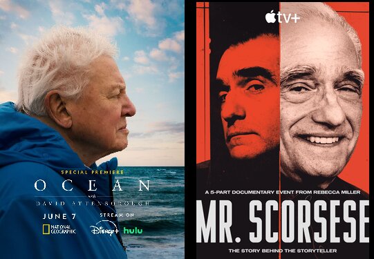 «همسایه بی‌نقص» با ۵ جایزه برنده اصلی جوایز مستند انتخاب منتقدان در نیویورک شد