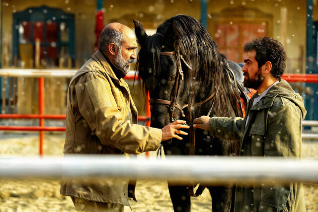 «ناتور دشت» با بازی حجازی‌فر و مولویان در تدارک فیلم فجر