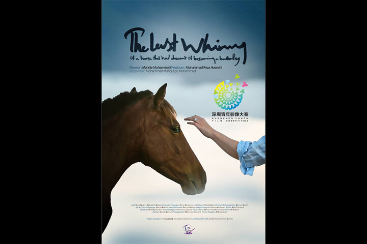 نامزدی فیلم کوتاه «آخرین شیهه اسبی که...» در جشنواره شنژن ۲۰۲۵