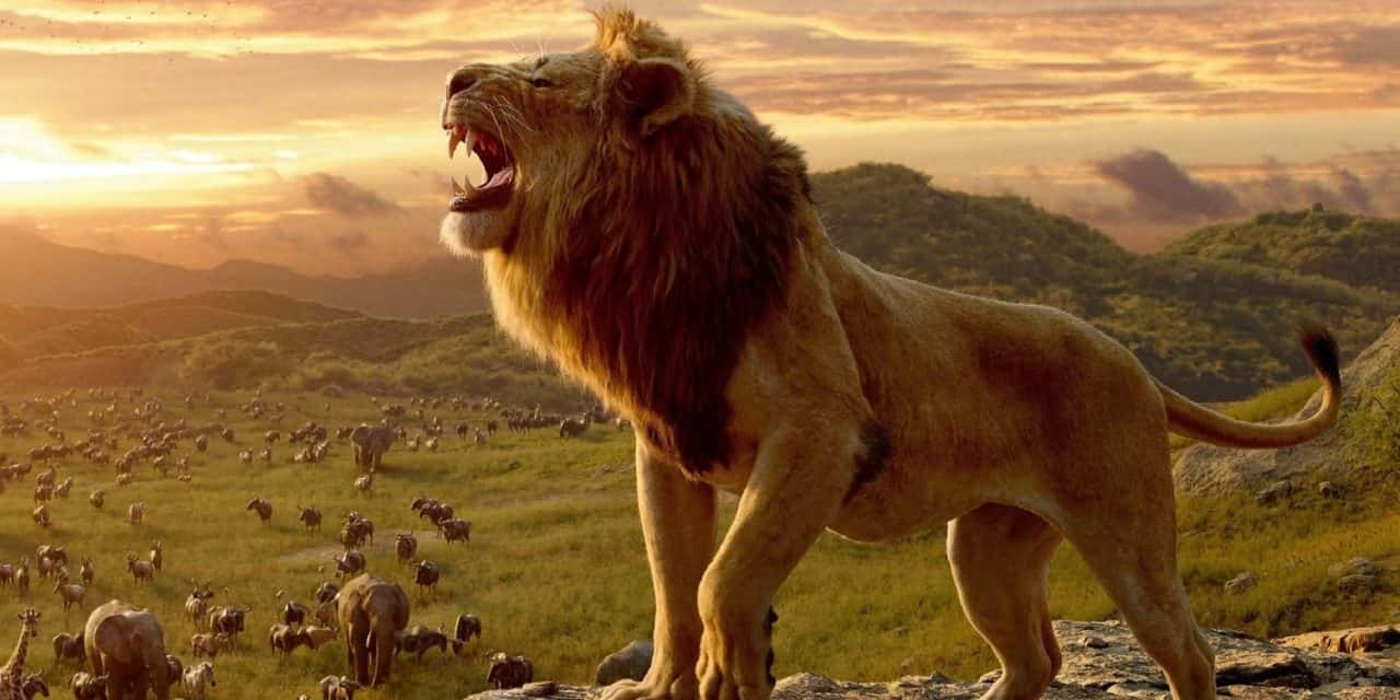 زمان انتشار بلوری و PVOD فیلم Mufasa: The Lion King مشخص شد