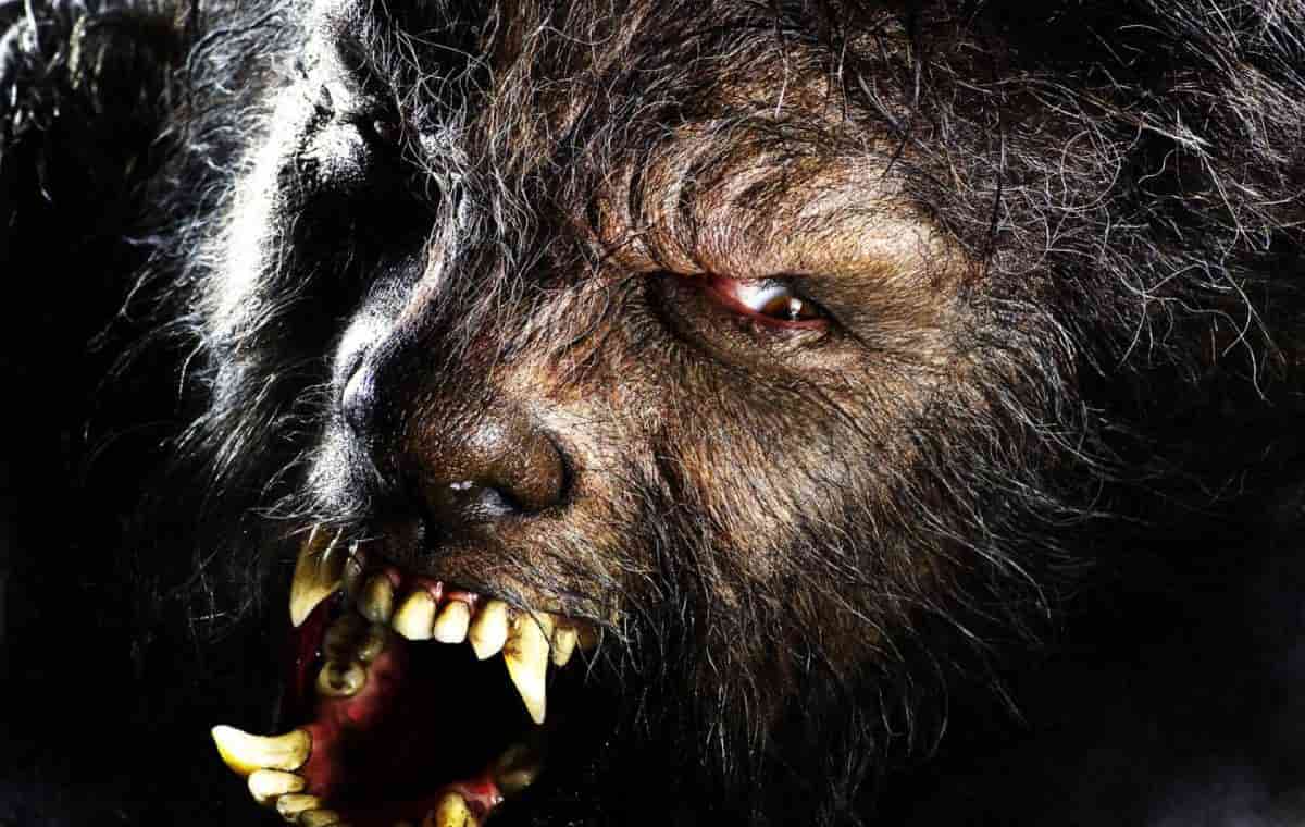 بهترین فیلم‌های گرگینه‌ای؛ از «مرد گرگ‌نما» تا «گرگینه امریکایی در لندن»