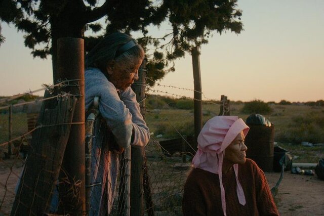 خبرگزاری چارسو پرس - برندگان جشنواره روتردام ۲۰۲۶؛ درخشش سینمای آفریقای جنوبی