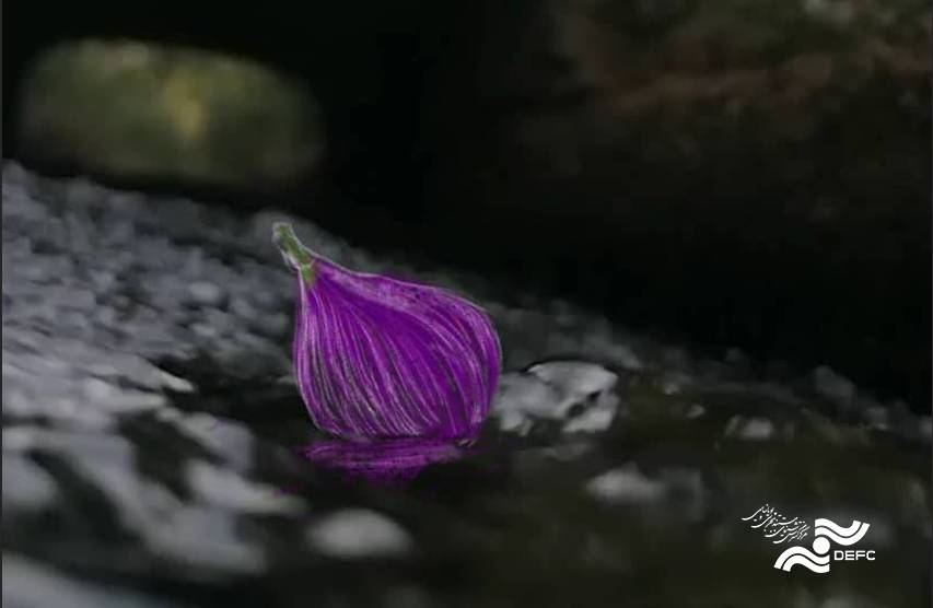 «انجیر»؛ انیمیشنی برآمده از کوچه‌باغ‌های میبد