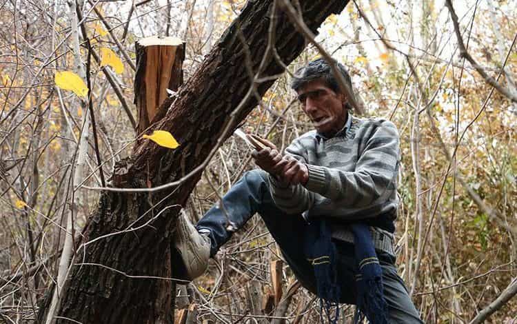 ماجرای ویزا ندادن به مستندساز جوان چیست؟ چرا ماجرای «در سایه سرو» تکرار شد!