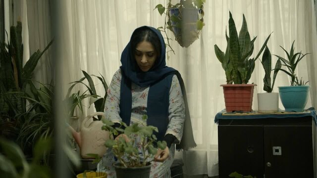 خبرگزاری چارسو پرس - فیلم کوتاه «روزهای آخر» آماده حضور در جشنواره‌ها شد