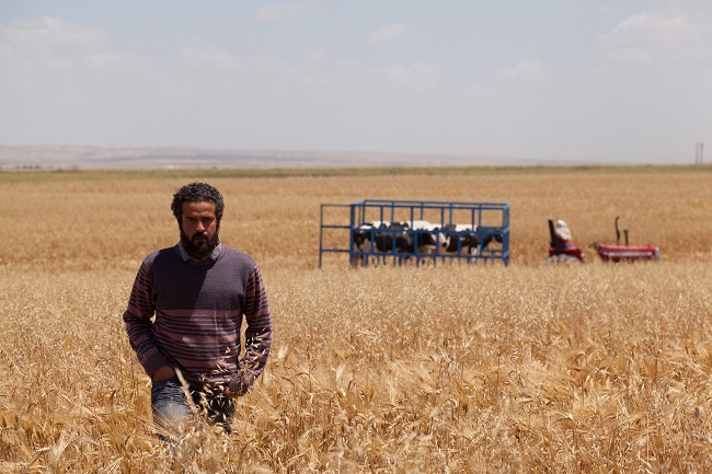 «تومان» در جشنواره فیلم فجر/ فیلمی از کارگردان «بهمن» + تصاویر 