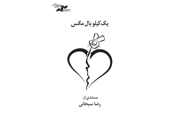 نمایش «یک کیلو بال مگس» در جشنواره «ترمه» آلمان