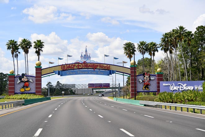 مالک قلابی دیزنی دستگیر شد 