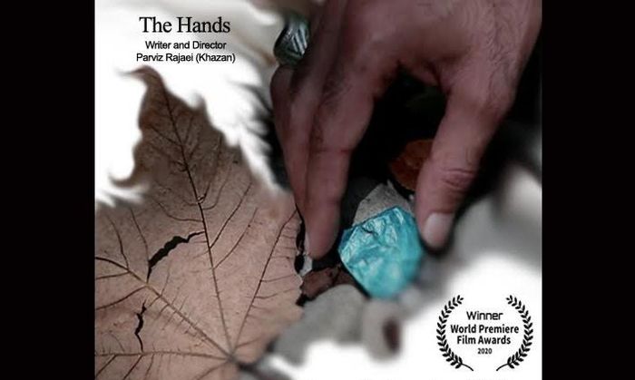 درخشش دست‌های ایرانی در آمریکا 