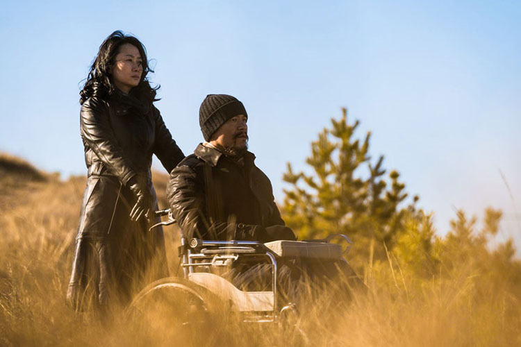 نگاهی به فیلم «خاکستری خالص‌ترین سفید است» ساخته جیا ژانگ که/ گریز از ریشه‌های مرموز عشق 